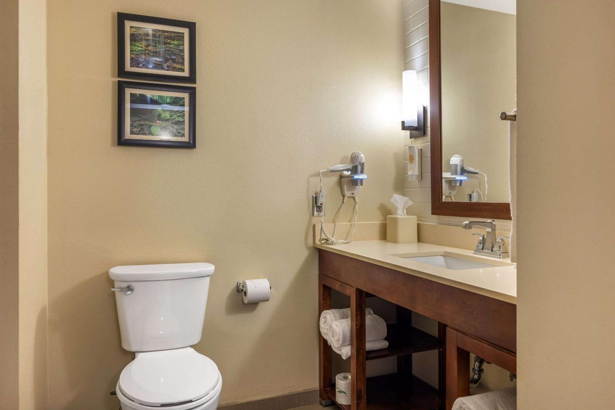 Comfort Inn & Suites At Crossplex Village Birmingham Eksteriør billede