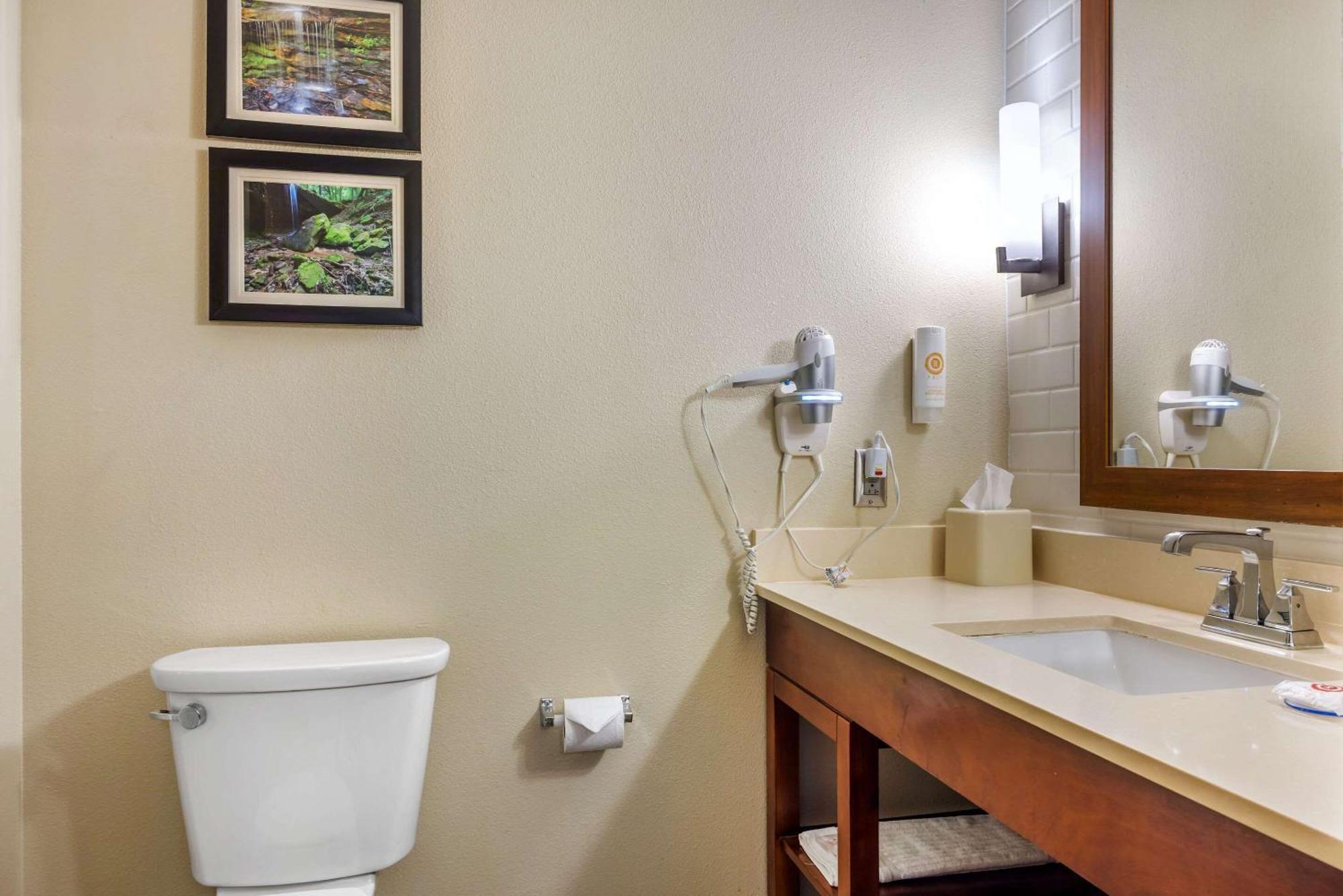 Comfort Inn & Suites At Crossplex Village Birmingham Eksteriør billede